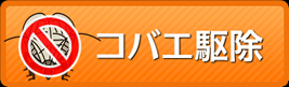 コバエ駆除